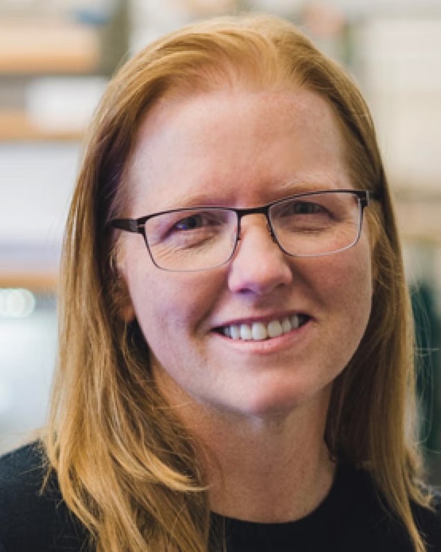 Kristi S. Anseth